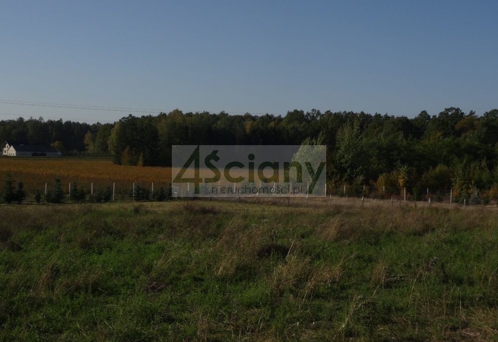 Działka siedliskowa Osuchów. Zdjęcie 16