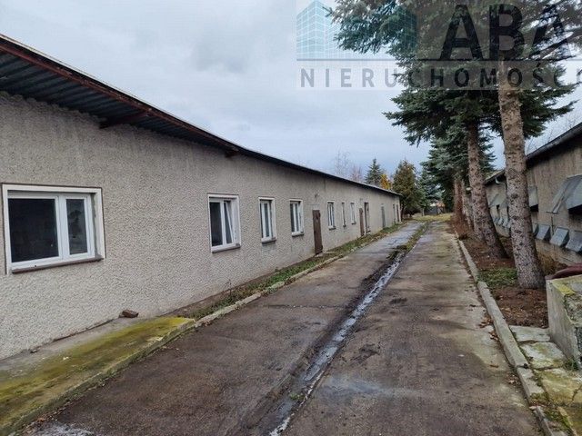 Hala/magazyn Brzeźno, ul. Sienna. Zdjęcie 2