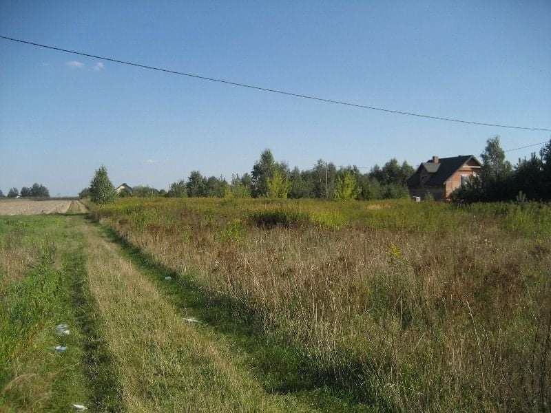 Działka budowlana Załuski, ul. Leśna. Zdjęcie 8