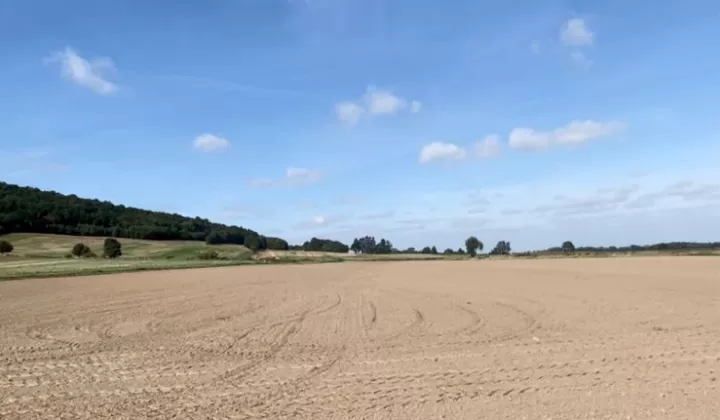 Działka budowlana Paszowice