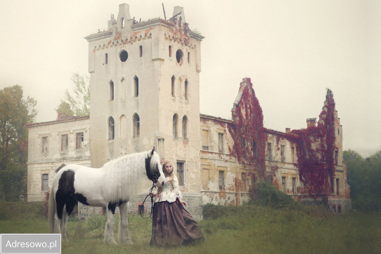 Działka budowlana Skałka. Zdjęcie 11