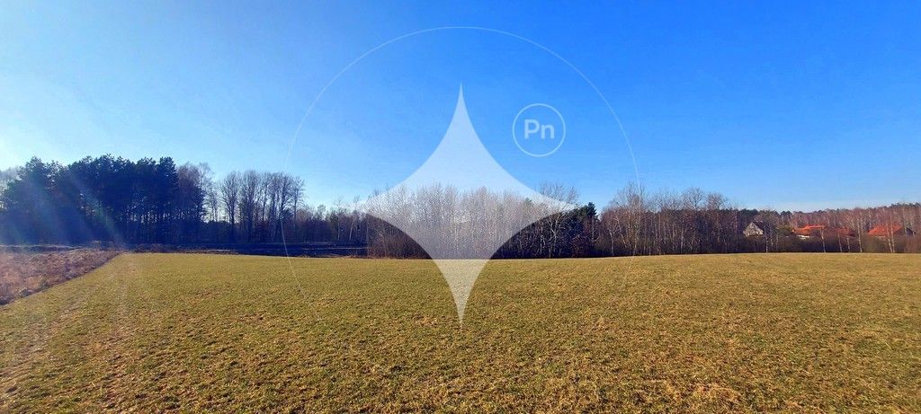 Działka budowlana Marcinkowo. Zdjęcie 4