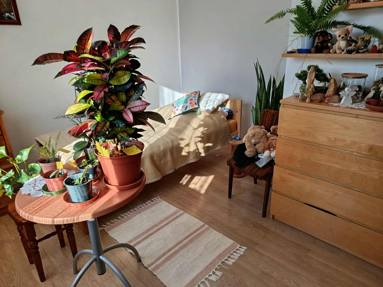 dom wolnostojący, 6 pokoi Dominikowice, brak. Zdjęcie 7