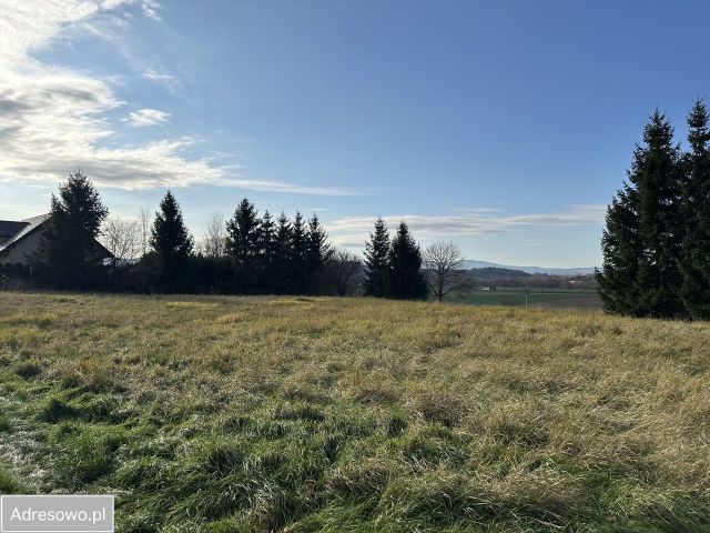Działka budowlana Jaszkowa Dolna. Zdjęcie 1