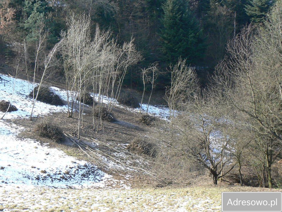 Działka rolna Tabaszowa. Zdjęcie 4