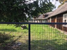 Działka rolno-budowlana Żabno. Zdjęcie 4