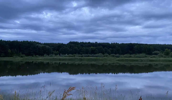 Działka inwestycyjna Osnówka