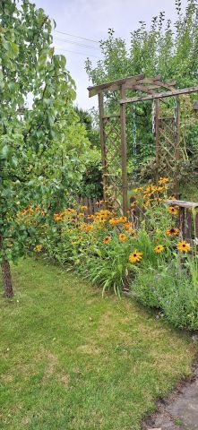 Działka rod Bydgoszcz Szwederowo. Zdjęcie 14