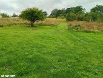 Działka budowlana Chociwel, ul. Piastowska