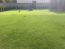 Działka rod Biedrusko. Zdjęcie 1