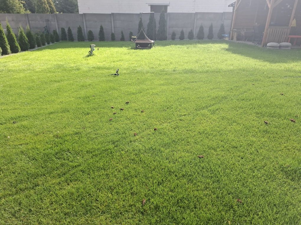 Działka rod Biedrusko. Zdjęcie 2