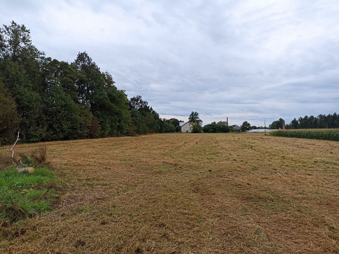 Działka rolno-budowlana Rylowa