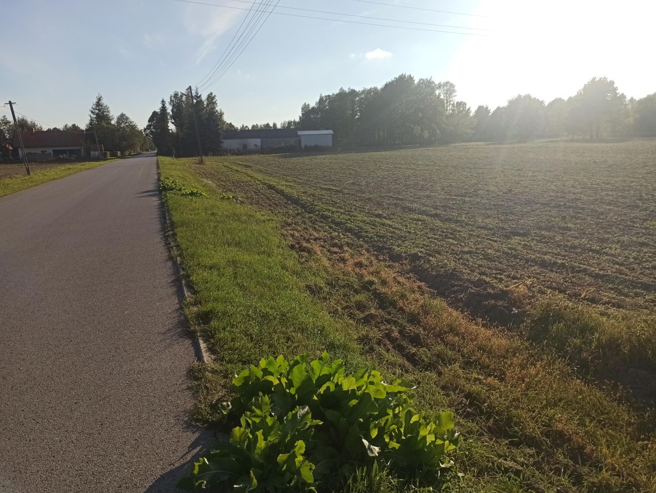 Działka budowlana Grochowa, ul. Zbigniewa Pawlaka. Zdjęcie 4