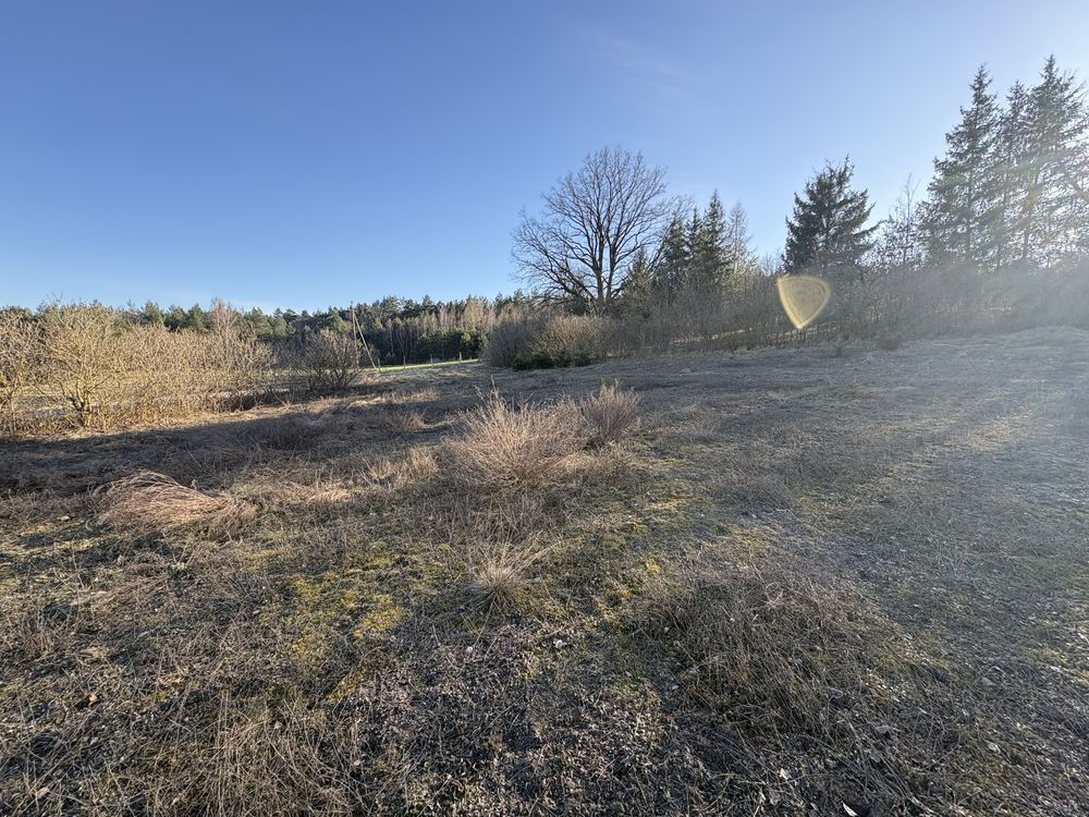 Działka budowlana Mały Dólsk. Zdjęcie 3