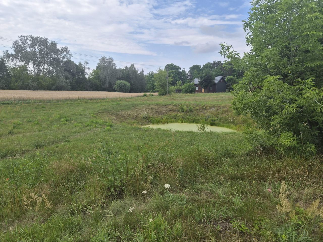 Działka budowlana Tułowice. Zdjęcie 5
