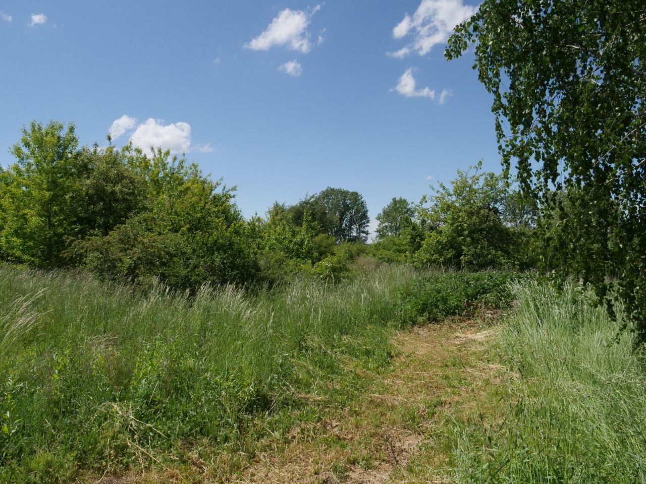 Działka budowlana Radom Godów, ul. Wiejska. Zdjęcie 8