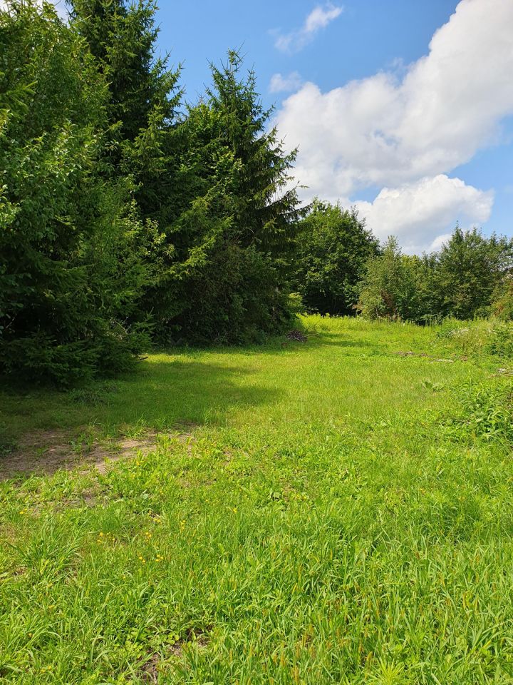 Działka rolno-budowlana Zosin. Zdjęcie 3