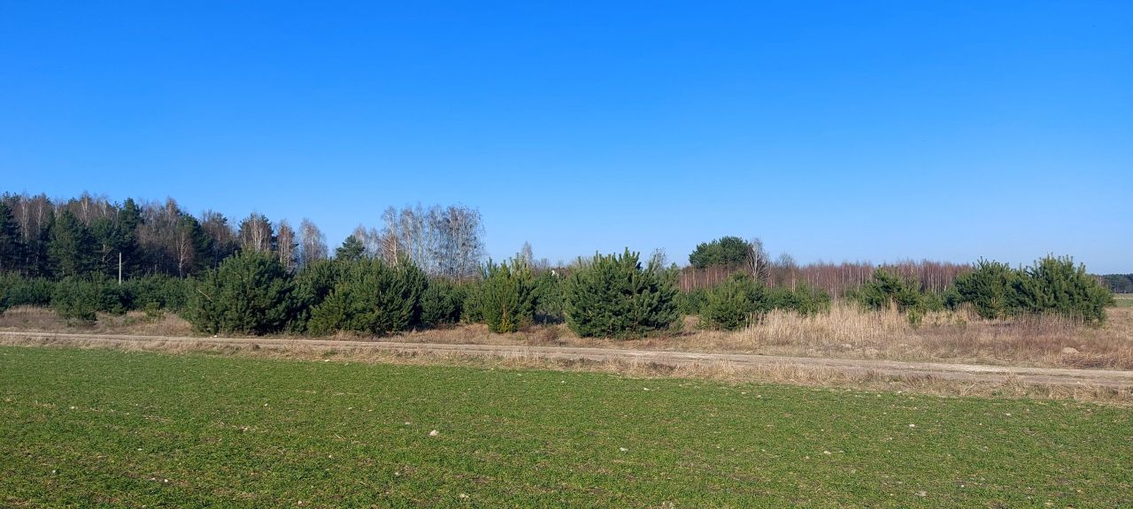 Działka rolno-budowlana Cegielnia Psucka. Zdjęcie 3