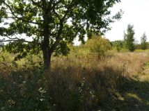 Działka budowlana Skierniewice Starbacicha. Zdjęcie 3