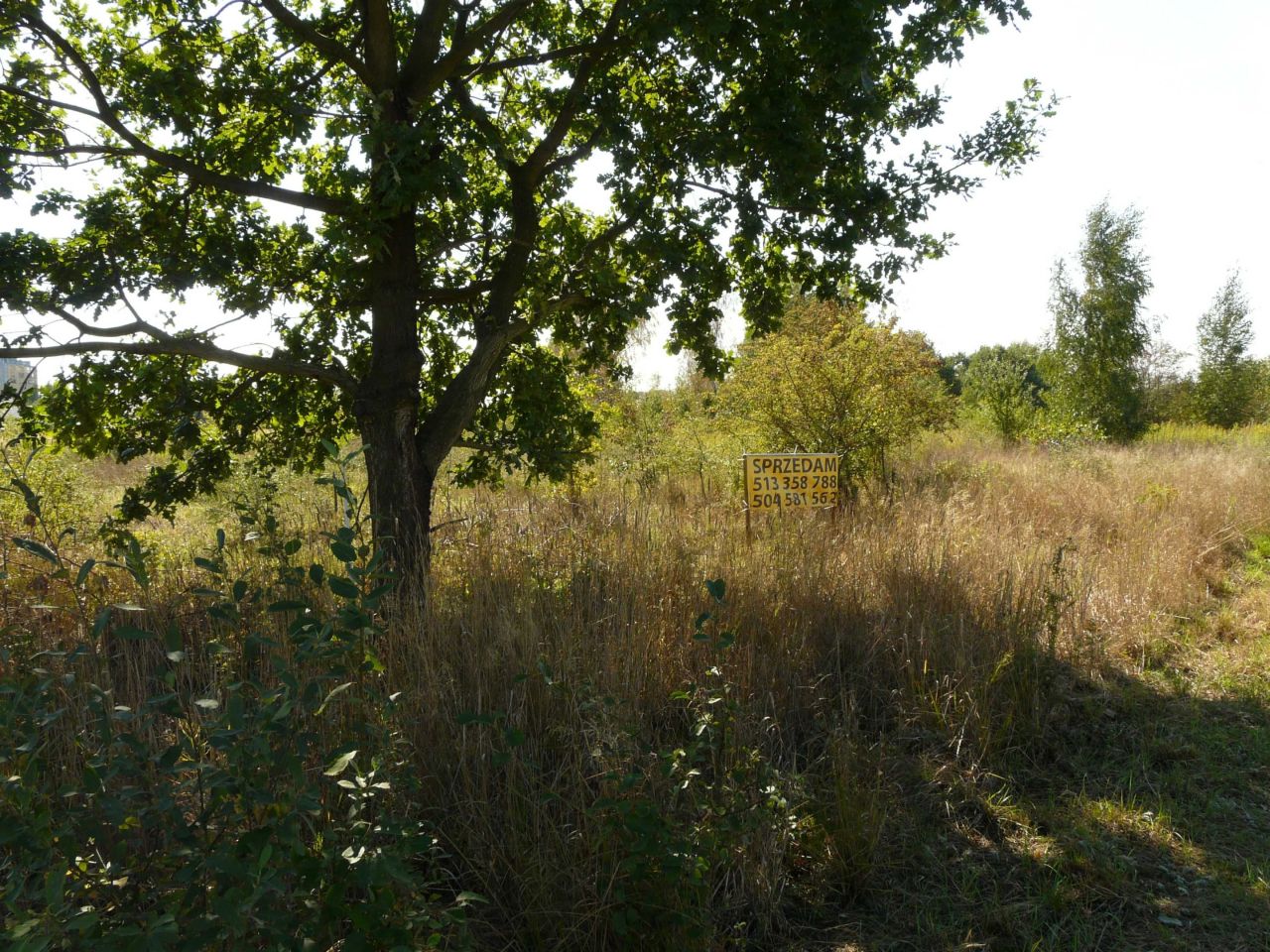Działka budowlana Skierniewice Starbacicha. Zdjęcie 4