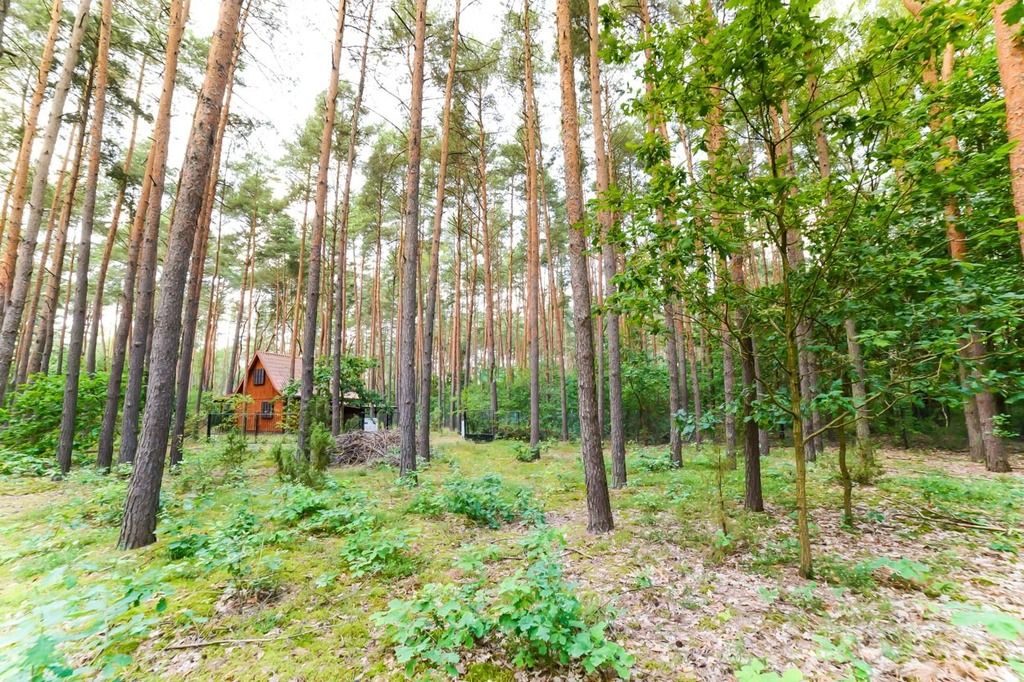 Działka rekreacyjna Poddębie. Zdjęcie 23