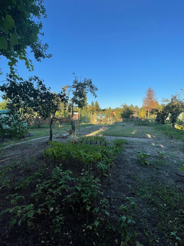 Działka rod Wrocław Stabłowice, ul. Górecka. Zdjęcie 6