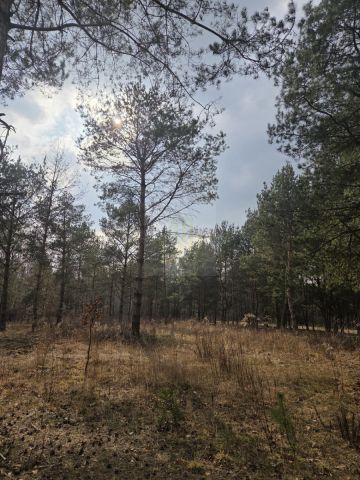 Działka budowlana Budy Zaklasztorne, ul. Mazowiecka. Zdjęcie 3