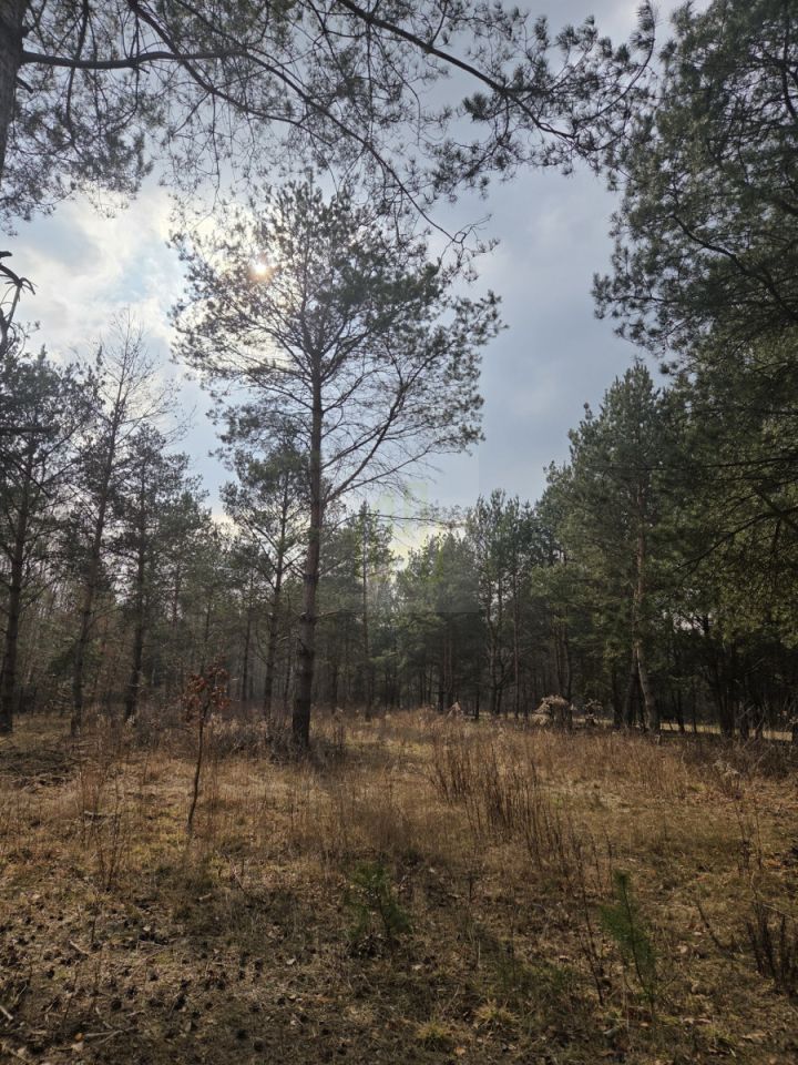 Działka budowlana Budy Zaklasztorne, ul. Mazowiecka. Zdjęcie 3