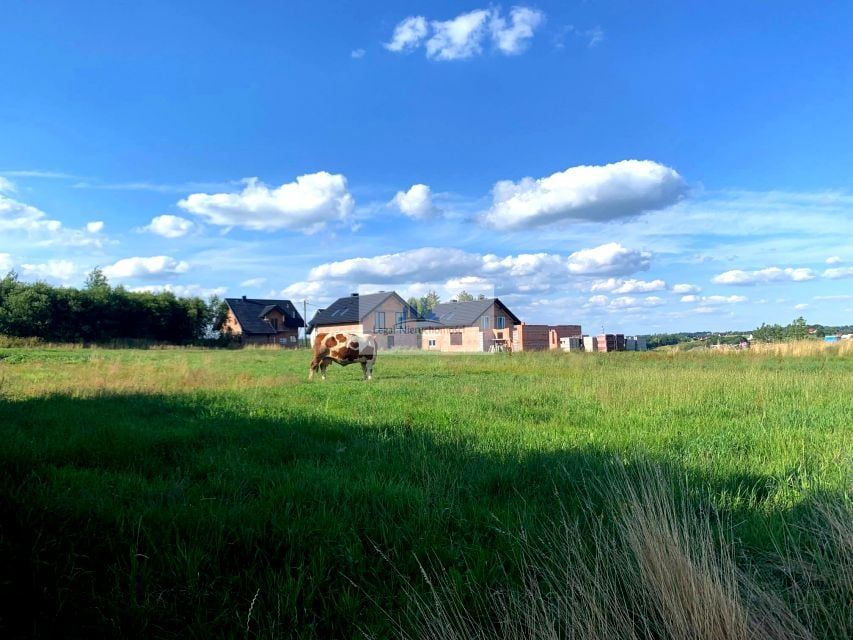 Działka siedliskowa Trojanowice, ul. Miechowska. Zdjęcie 14