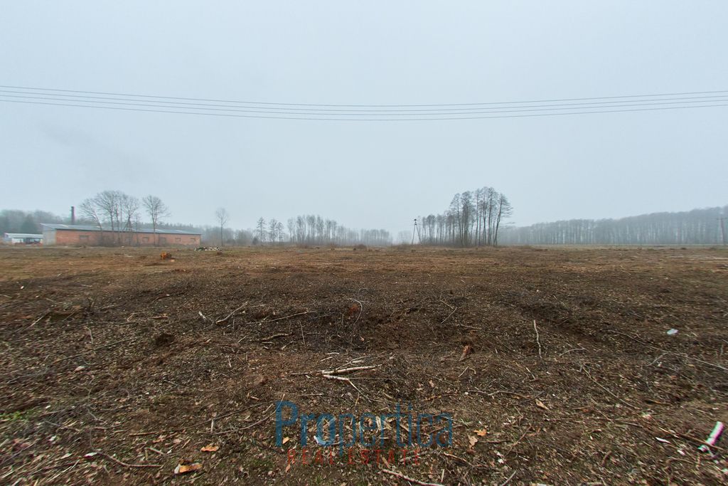 Działka budowlana Opaleniec. Zdjęcie 5