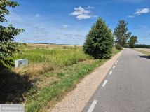 Działka rolno-budowlana Wygoda Smoszewska. Zdjęcie 4