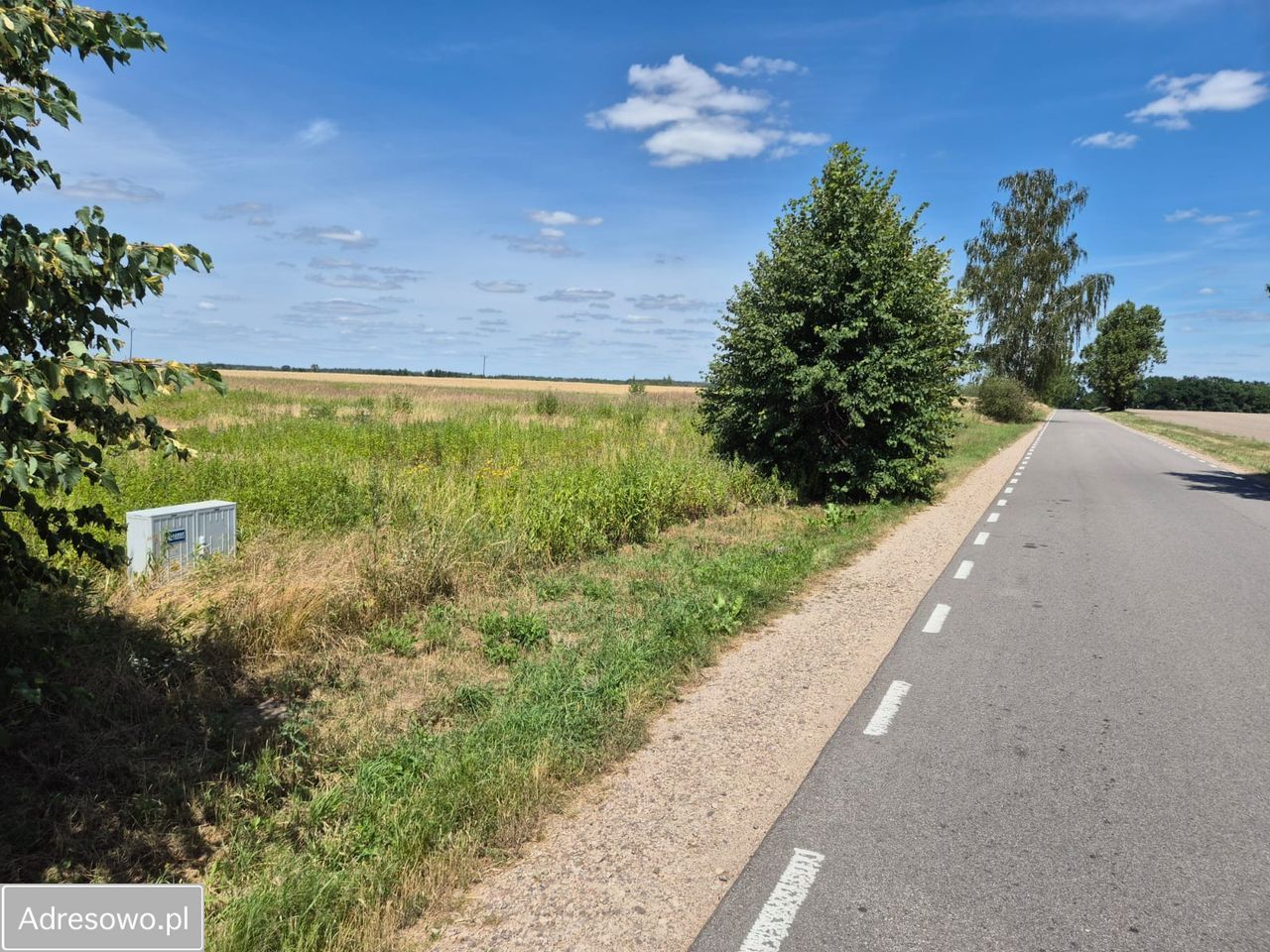 Działka rolno-budowlana Wygoda Smoszewska. Zdjęcie 5