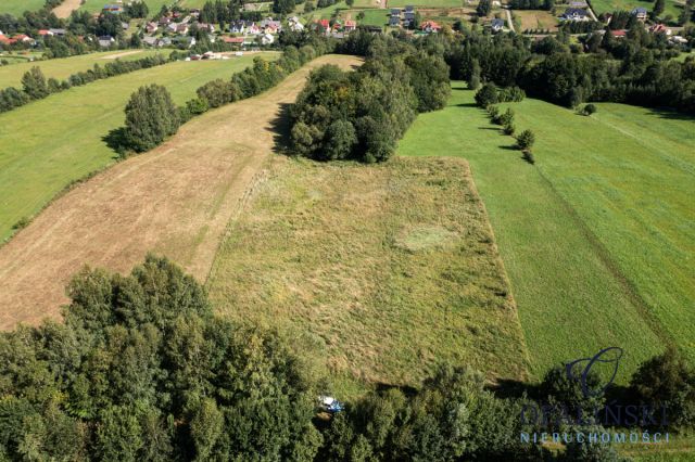 Działka rolna Bukowiec. Zdjęcie 5