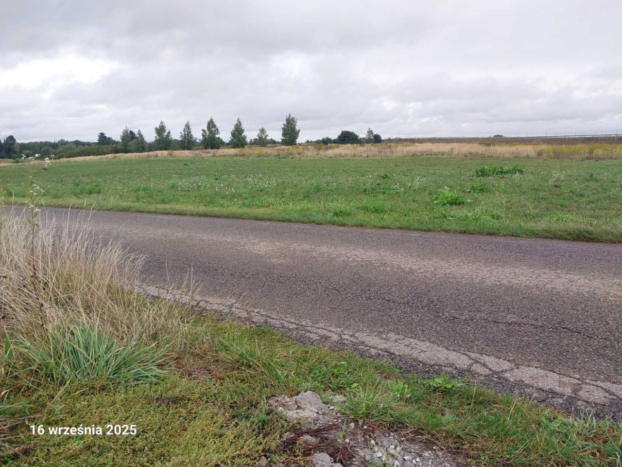 Działka rolno-budowlana Sieprawice. Zdjęcie 2