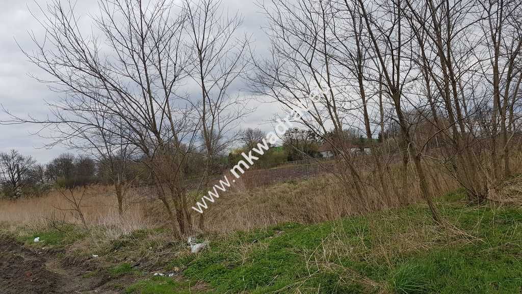 Działka budowlana Leszno. Zdjęcie 2