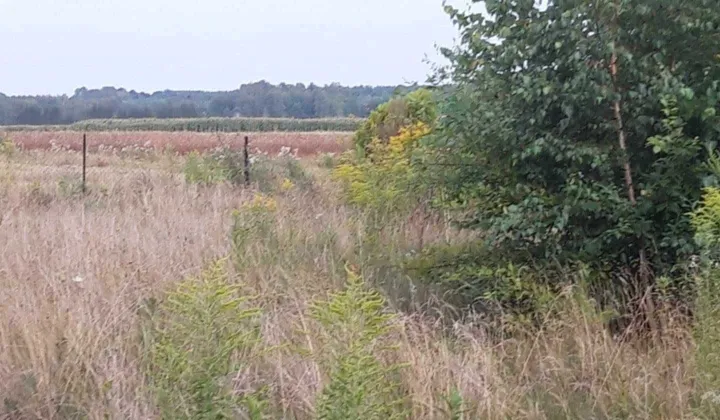 Działka rolno-budowlana Kozłówka