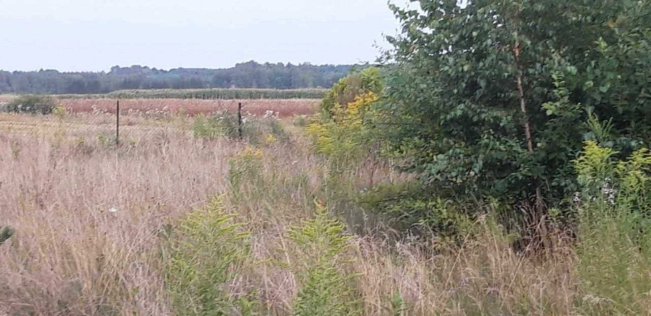 Działka rolno-budowlana Kozłówka