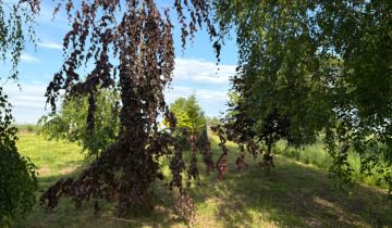 Działka rolno-budowlana Kwaczała