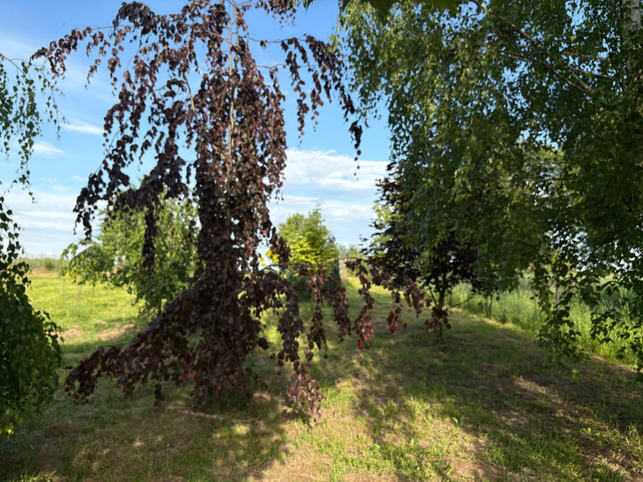 Działka rolno-budowlana Kwaczała. Zdjęcie 2