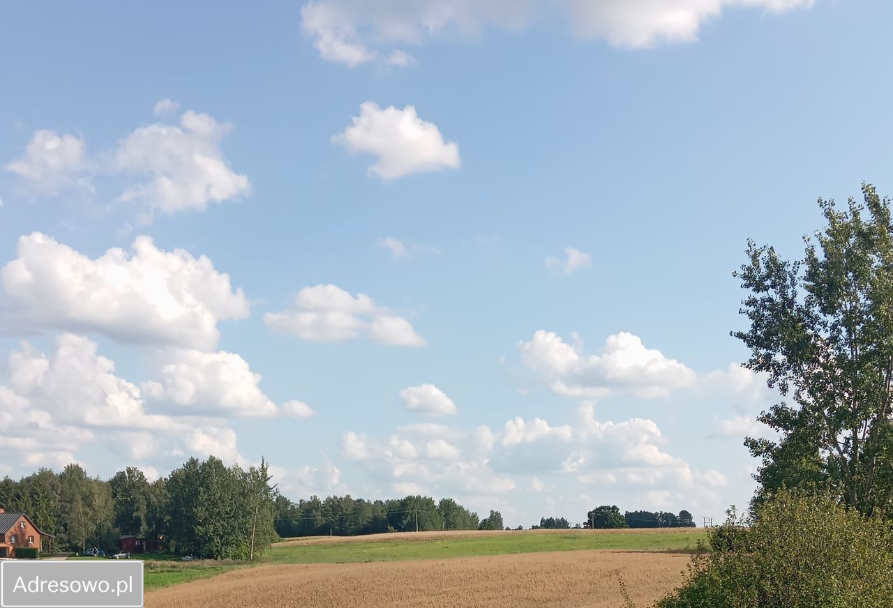 Działka rolno-budowlana Krasnogruda. Zdjęcie 10