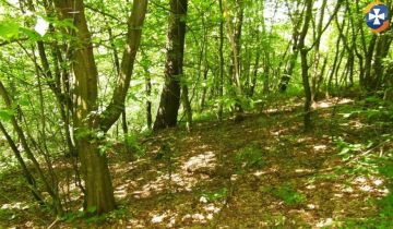 Działka rolna Żohatyn