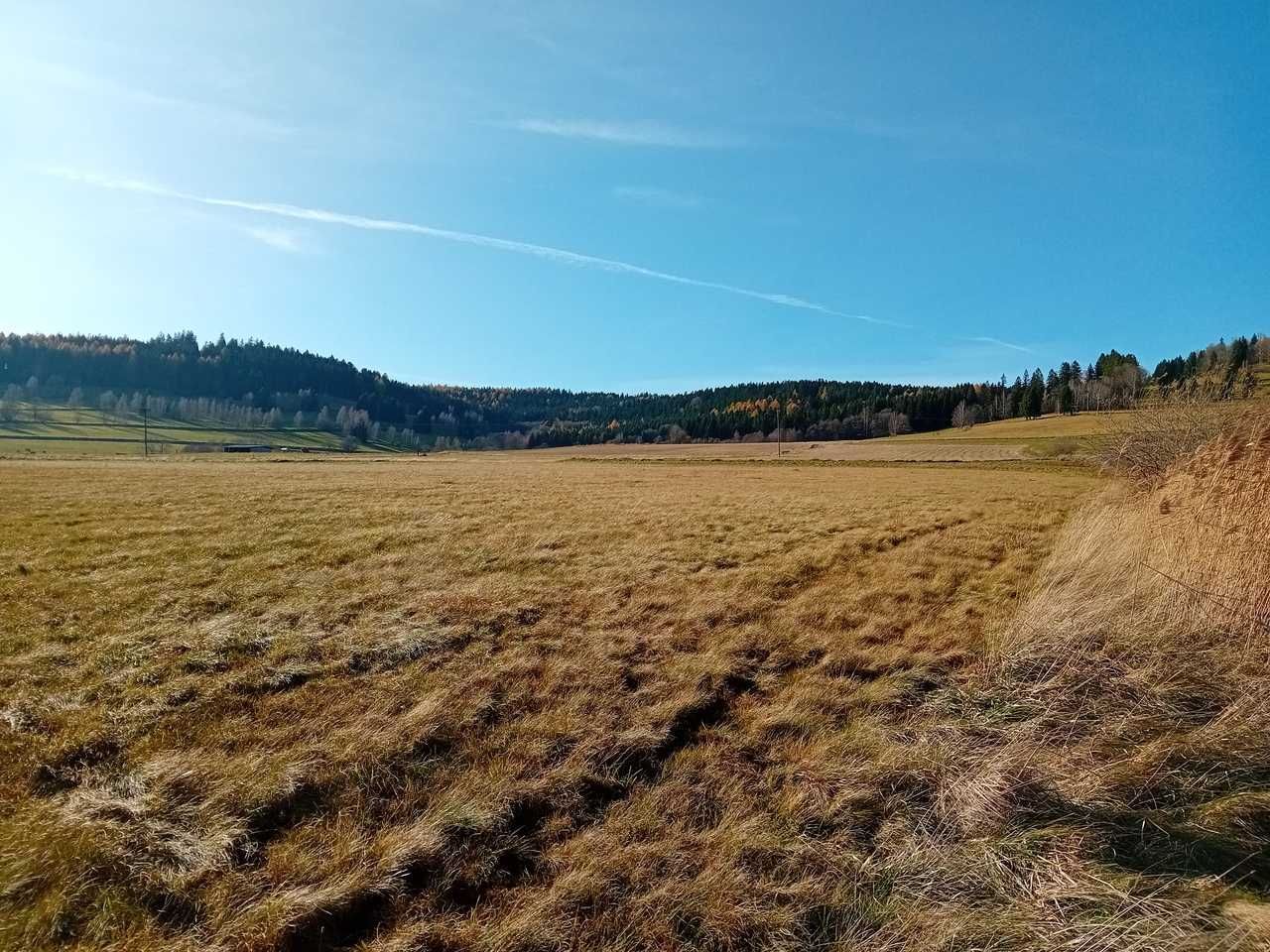 Działka budowlana Strachocin. Zdjęcie 1