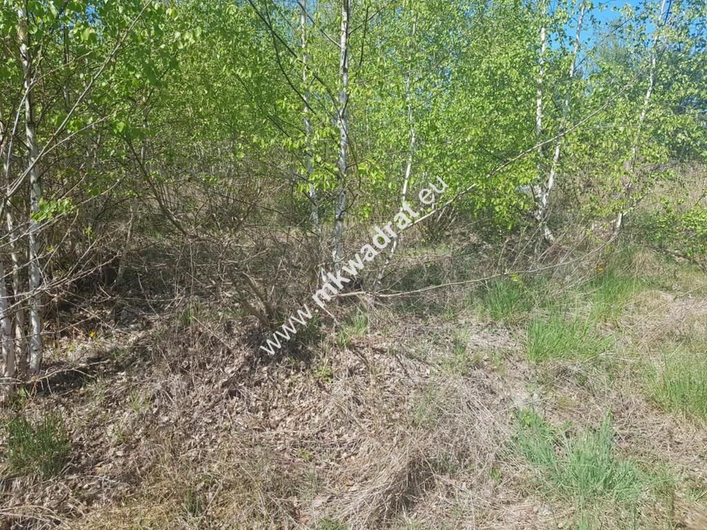 Działka budowlana Rusiec, www.mkwadrat.eu. Zdjęcie 7