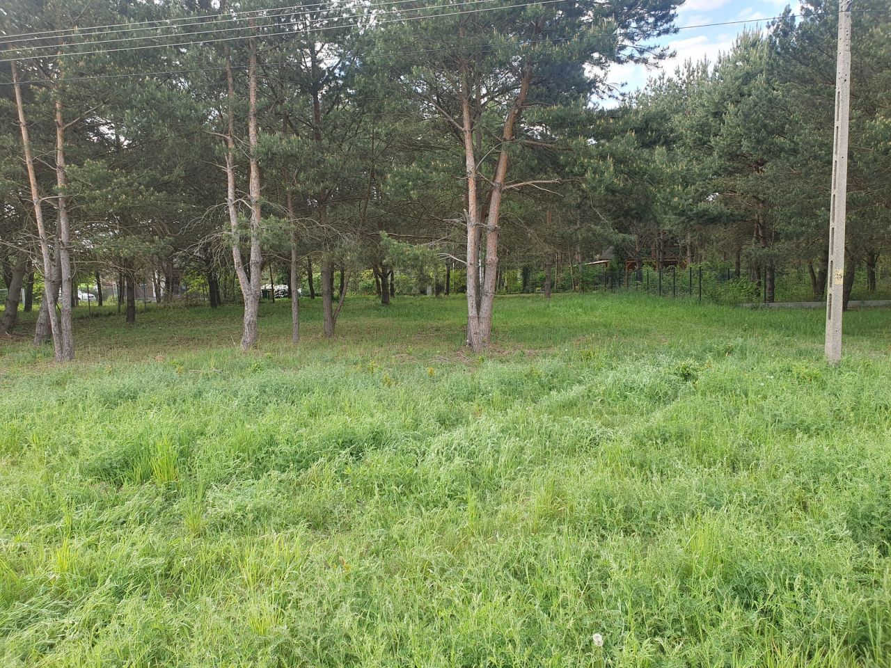Działka budowlana Golesze-Parcela. Zdjęcie 2