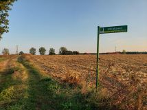 Działka budowlana Mirakowo, ul. Pszeniczna