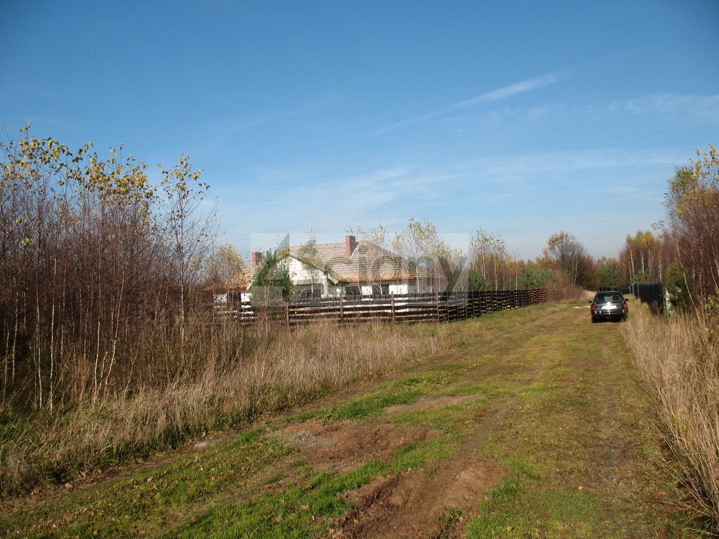 Działka budowlana Studzieniec. Zdjęcie 5