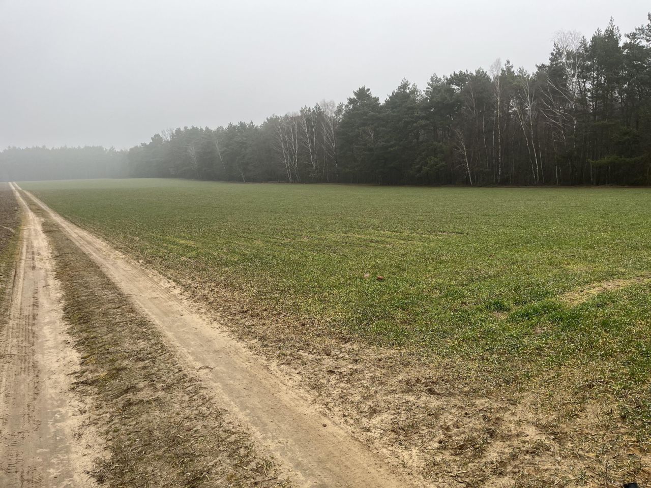Działka budowlana Ludwikowo. Zdjęcie 6