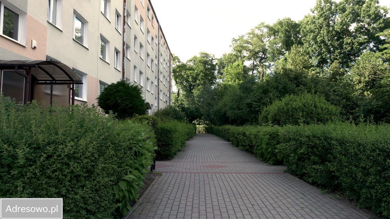 Mieszkanie 2-pokojowe Toruń Podgórz
