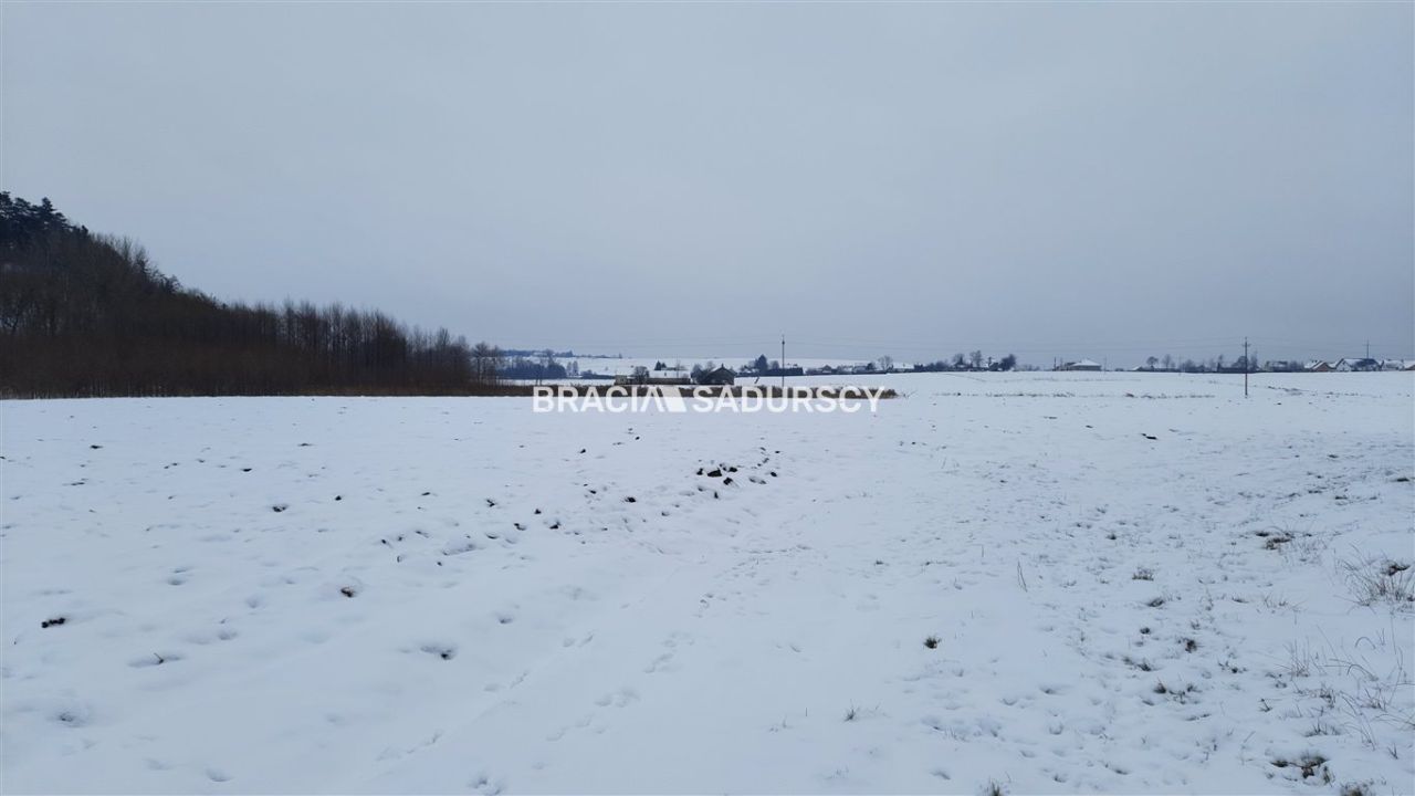 Działka rolna Polekarcice. Zdjęcie 8