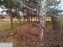 Działka rolno-budowlana Grodzisk Mazowiecki, ul. Przeskok. Zdjęcie 1